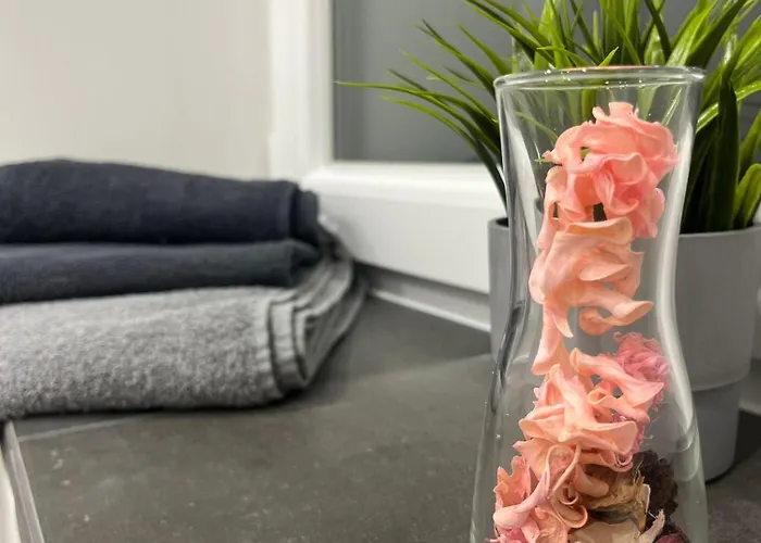 Live-in 5 בית אירוח *